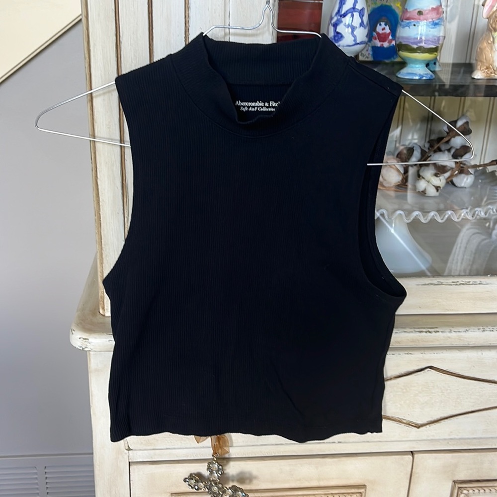 Abercrombie and Fitch Cropped Turtleneck Tank Top